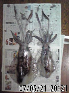 070521_2021~01.JPG