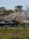 200804021229000.jpg