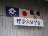 ca341189.JPG