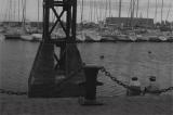 imgp5458.JPG