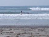 surf2.jpg