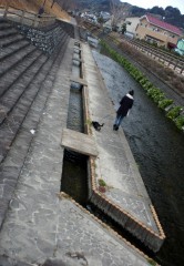 IMGP5141