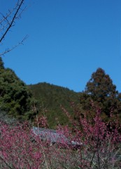 IMGP5183