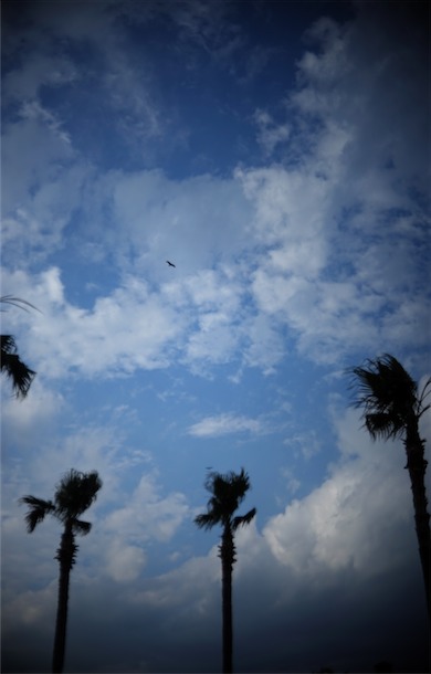 DSC01885