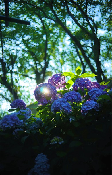 DSC01919